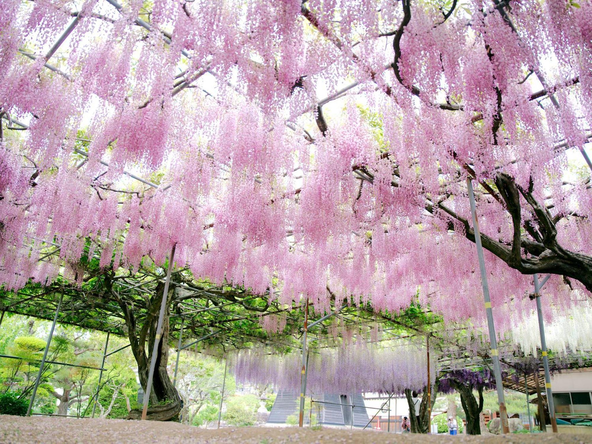 Yoshinotei Hotel Iida Luaran gambar