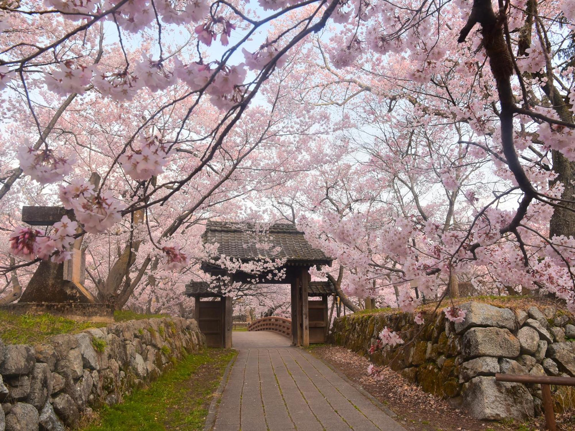 Yoshinotei Hotel Iida Luaran gambar