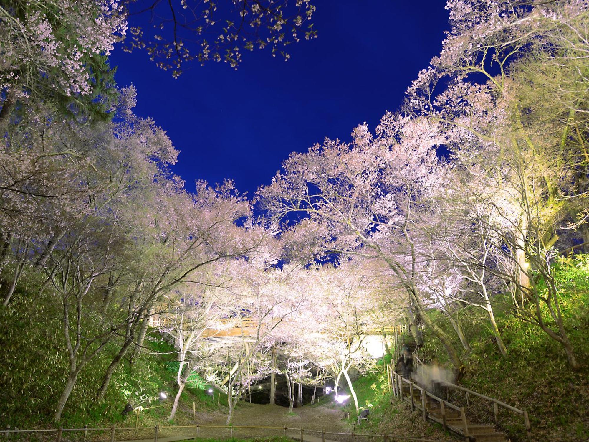 Yoshinotei Hotel Iida Luaran gambar