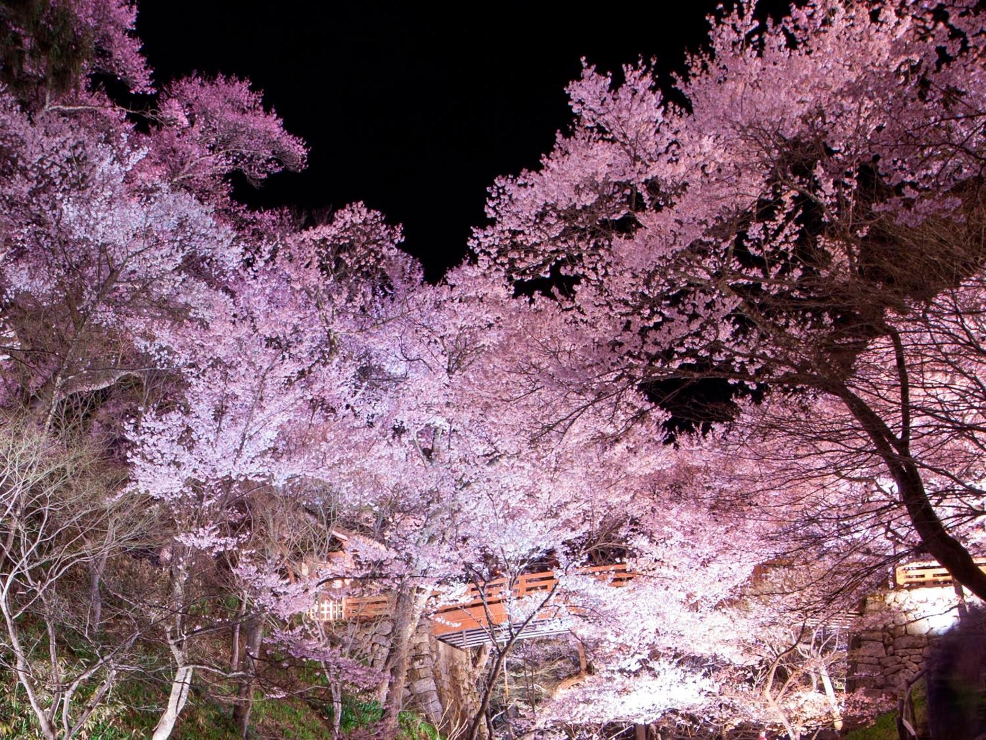 Yoshinotei Hotel Iida Luaran gambar
